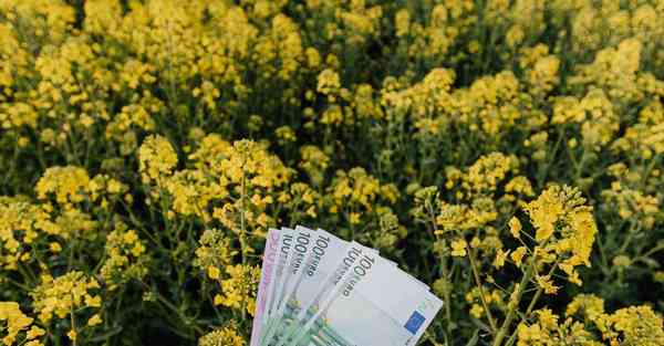 人工智能机器人在外星，人工智能机器人在外星生活