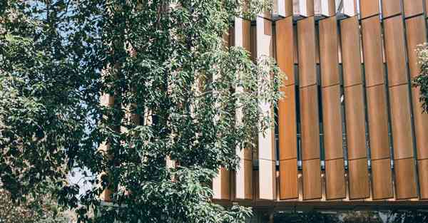 熊孩子到地下发现智能机器人