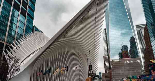 外国语单招大数据的行业文章