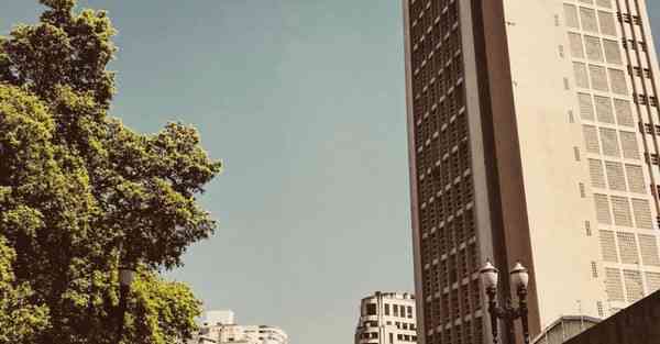 外国语单招大数据的行业文章