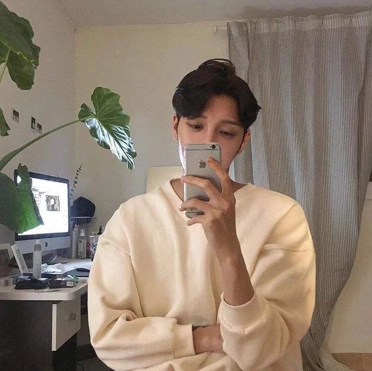 安树菲楠