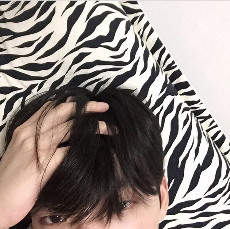 尹宗晨晓
