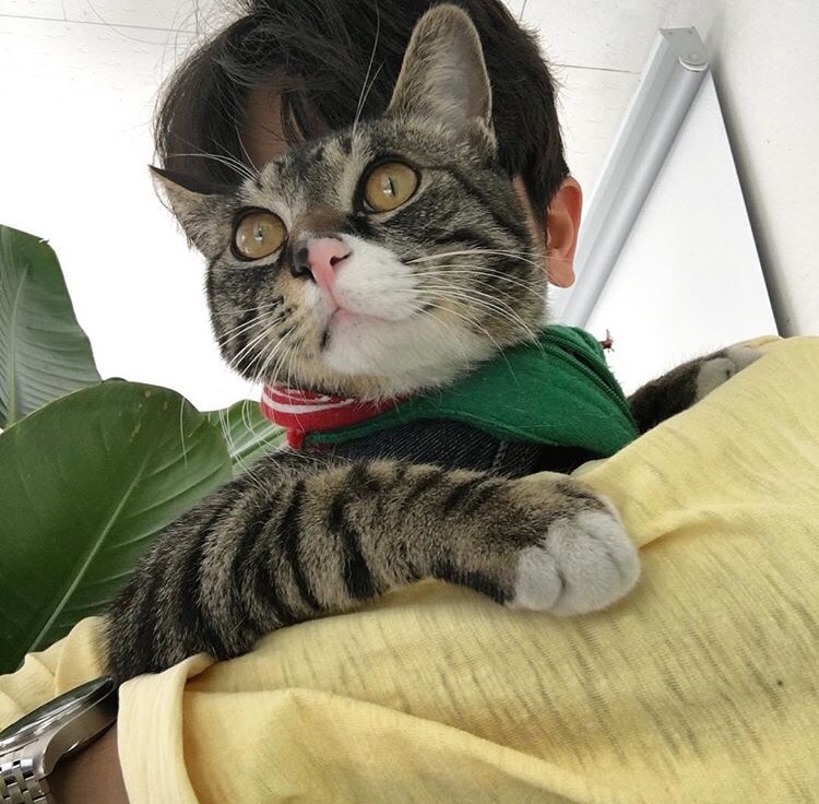 濮阳炎莉振