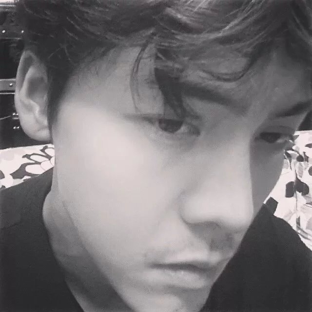支贤力婕