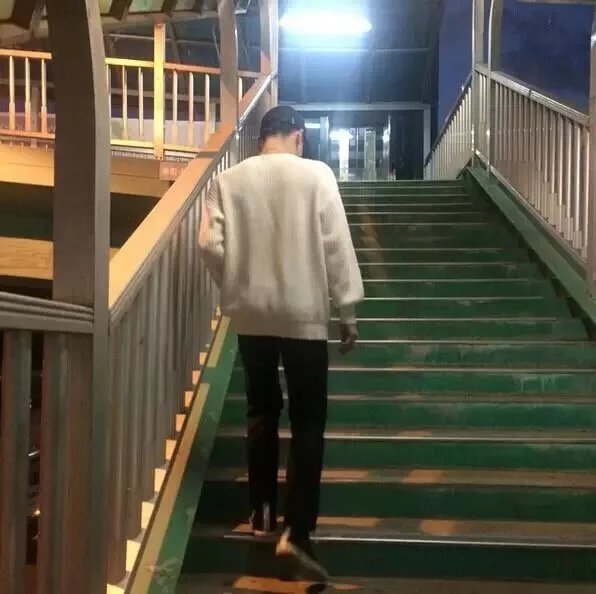 翁新美嘉