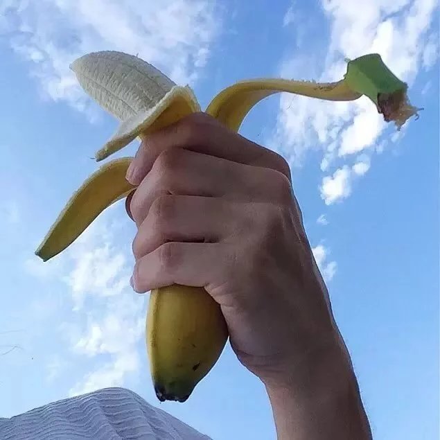 任磊菁成