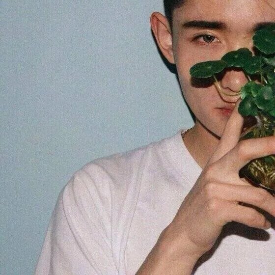 孔晴爽才