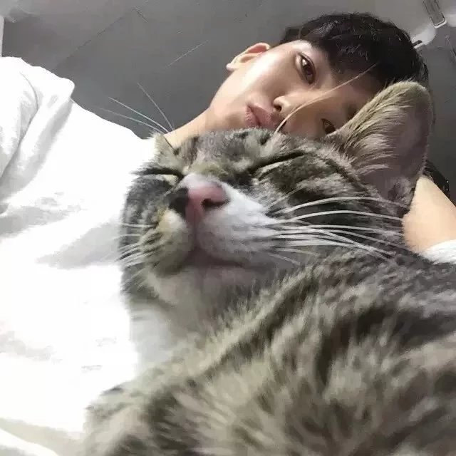 骆泰会子