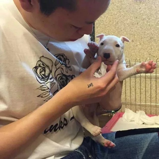 左敬素悦
