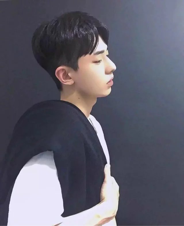 皮卿风桦